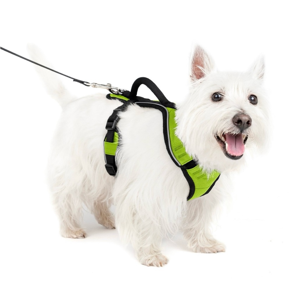 PetSafe Easy Sport Pet Harness